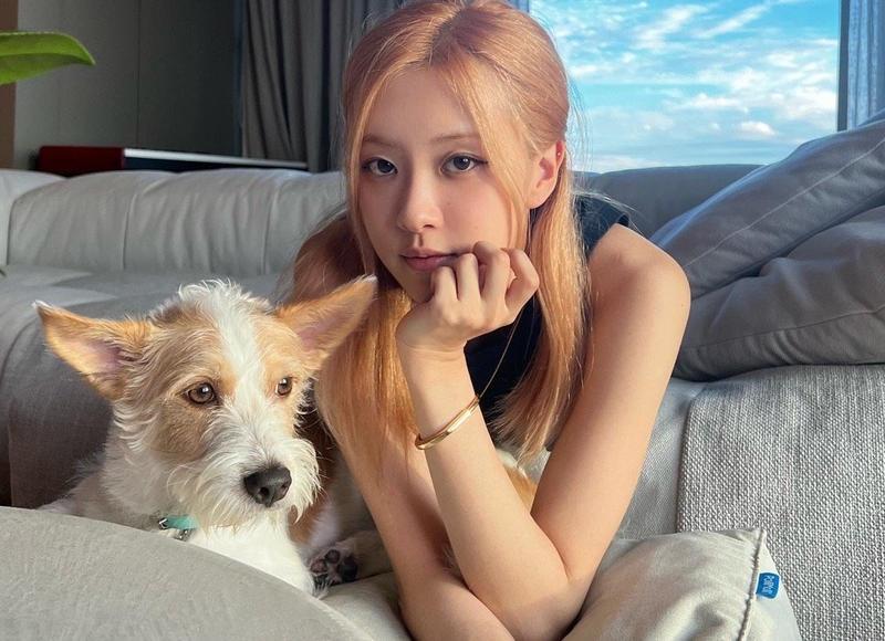刻不容缓歌词情话语录图片（写给妈妈的情书英文）