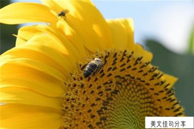 ​正能量个性签名经典语句霸气（最火个性签名81句）