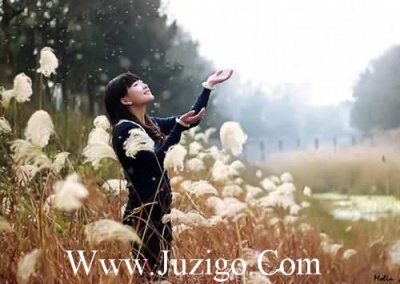 ​11月再见12月你好励志文案(84句)