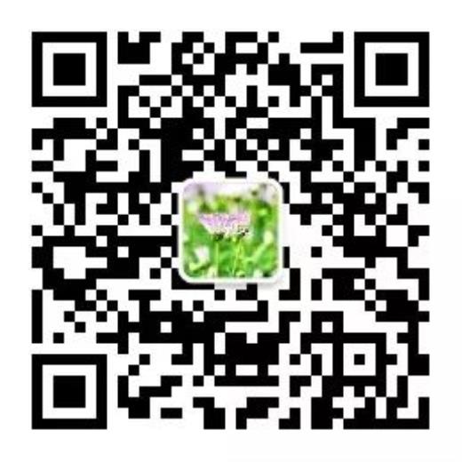 微商早安语录短句