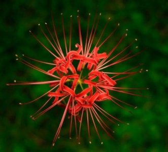 ​句句深入人心经典句子（很成熟）