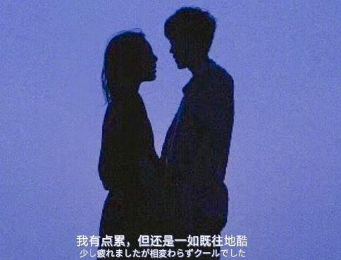 每日励志正能量语录