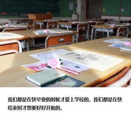 动漫里的经典语录句子迷