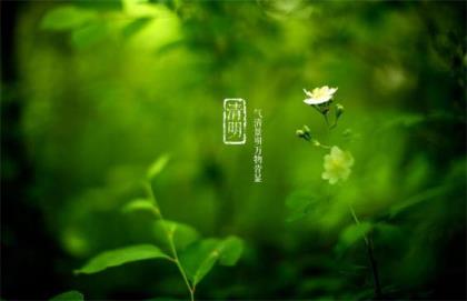 动漫里的经典语录句子迷