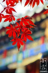 ​写给闺蜜的句子暖心 闺蜜句子短句霸气十足