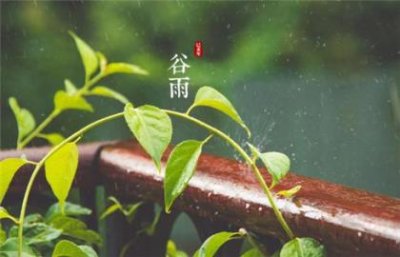 ​有说的文言文句子 古文情话伤感
