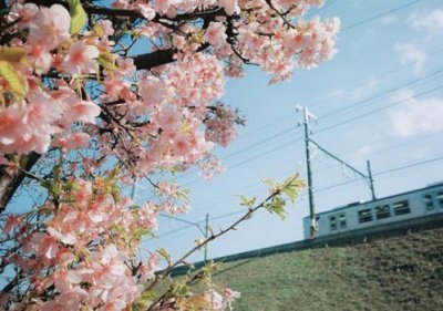 ​qq个性签名伤感