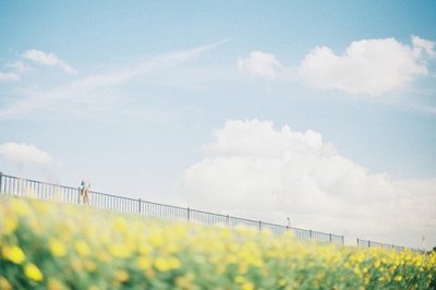 ​2025年新年拜年短信100句
