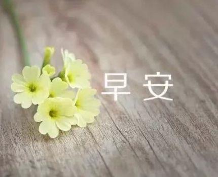 2025年精选形容伤感的句子集合54条