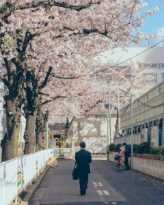 ​qq签名霸气高冷傲 一句很酷很洒脱的句子