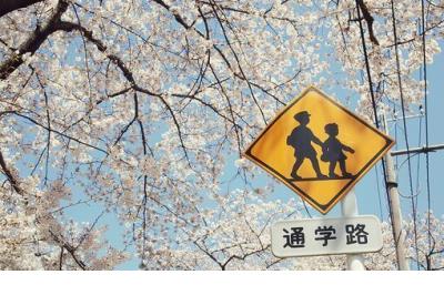 懒洋洋的伤感语录