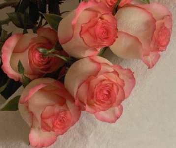 ​女生伤感的个性签名短句