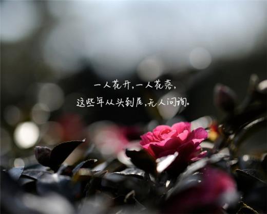酒后吐真言的经典句子