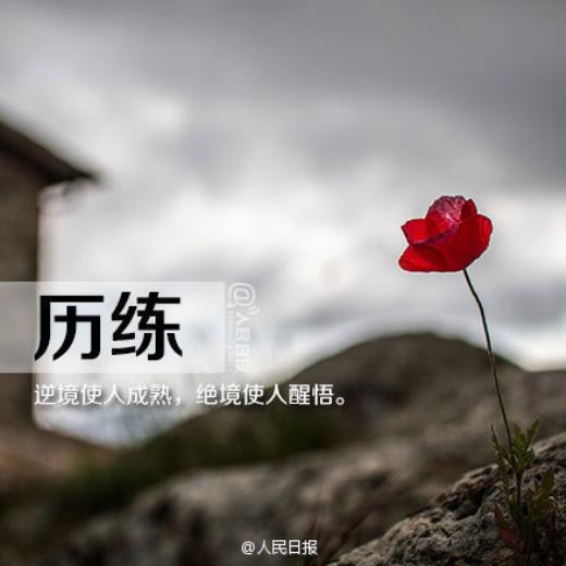 单恋伤感句子短句