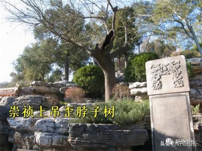 ​崇祯皇帝其实不用死，他为什么不逃到南方呢？