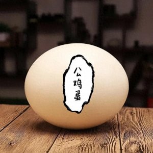 ​公鸡会下蛋，是真的