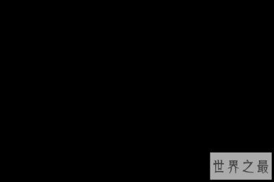​世界十大手机品牌标志（世界手机牌子排名大全）