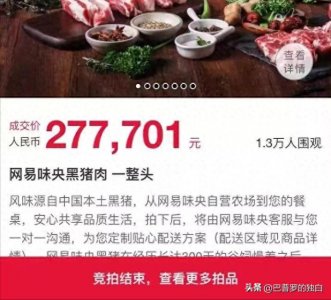 ​网易CEO丁磊跑去养猪，一头猪拍出27.7万元天价，如今门店还不少