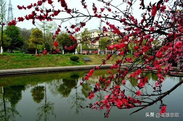 长安大学和长江大学（长江大学是211大学还是985）