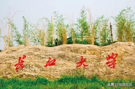 长安大学和长江大学（长江大学是211大学还是985）
