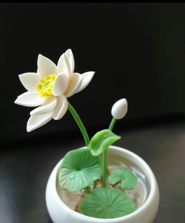 唯美手机壁纸待机画面锁屏背景图，喜欢请关注小编，每天大量推送