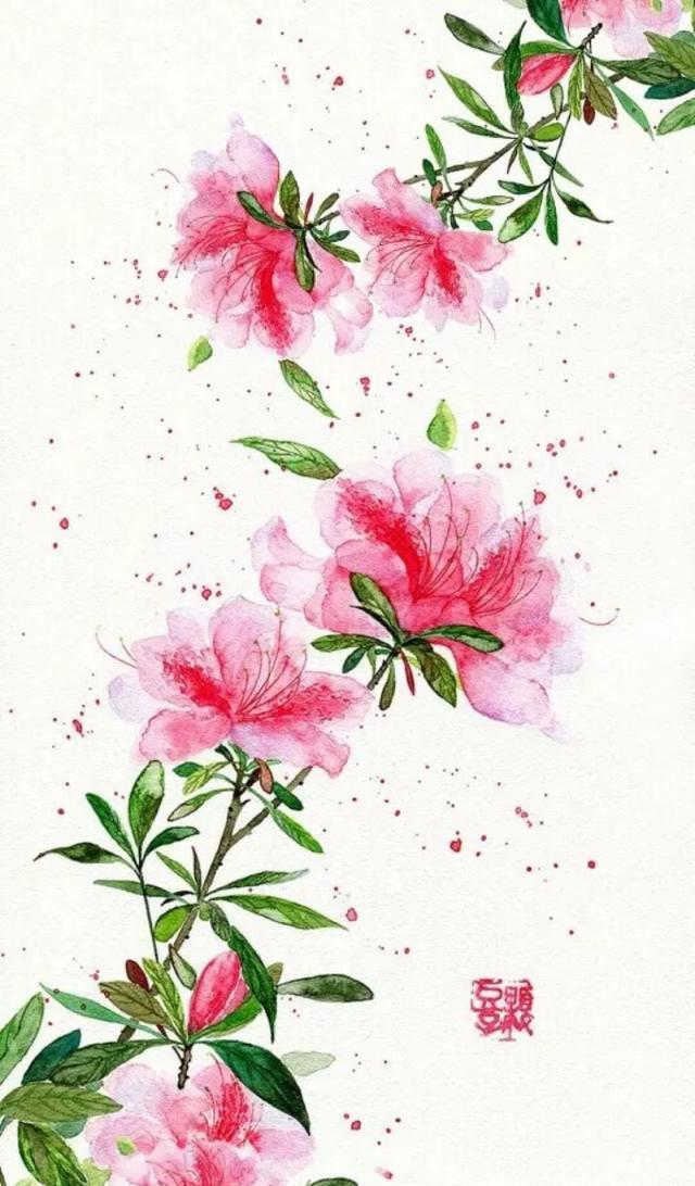 唯美手机壁纸待机画面锁屏背景图，喜欢请关注小编，每天大量推送