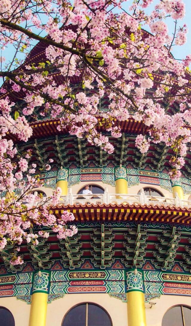 唯美手机壁纸待机画面锁屏背景图，喜欢请关注小编，每天大量推送