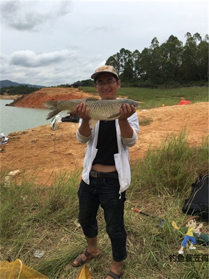 野钓草鱼用什么饵料最好 配方（春季钓草鱼的最佳方法）
