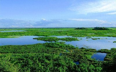 ​盘点一下，以下这些事业单位都是“参公”好单位(以市局为例)：