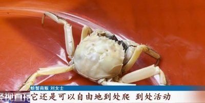 ​商贩打捞起全身白色螃蟹，专家：最好不要食用