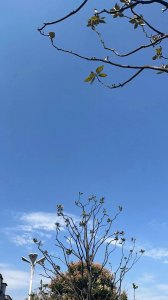 ​11月30日后将有运势上升发财不可阻挡被认为是人生赢家的4个星座