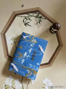 书生意气从来不是个贬义词,在南宋尤其如此