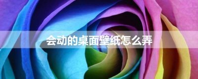 ​会动的桌面壁纸怎么弄