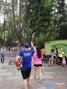 ​挂吊瓶看熊猫 官方为其发“熊猫护照”，可终身免票入园