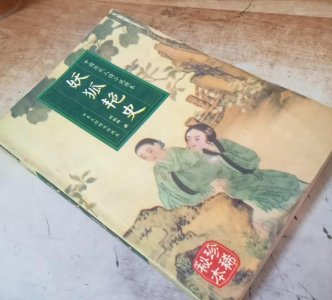 ​藏书：清代无名氏《妖狐艳史》古代禁毁小说