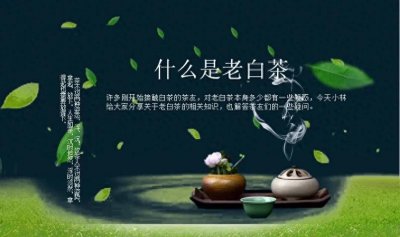 ​什么是老白茶？