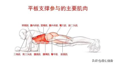 ​越久越好吗？锻炼平板支撑三分钟是什么水平