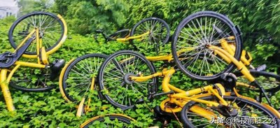 ​ofo小黄车创始人戴威做错了什么，才导致ofo小黄车的倒闭？