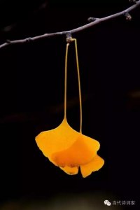 ​当代诗家苏岚烟‖昂昂破土冲天去，款款归根报土来