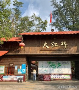 ​北海大江埠：疍家民俗风情文化和北海海洋文化真实再现