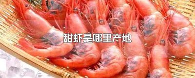 ​甜虾的产地 甜虾的产地有哪些