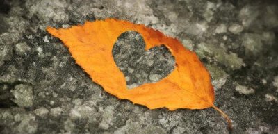 ​简述动机的分类