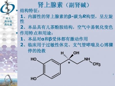 ​肾上腺素产生什么作用（肾上腺素功能是什么）