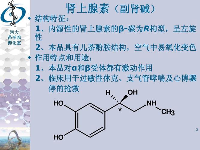 肾上腺素产生什么作用(肾上腺素功能是什么)