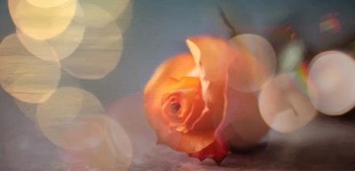 ​男朋友跟我交往还去相亲正常吗