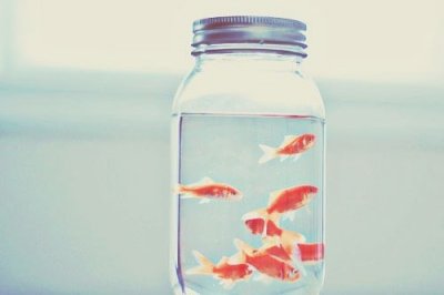 ​描写空气的句子23句