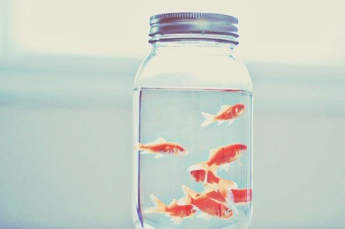 描写空气的句子23句