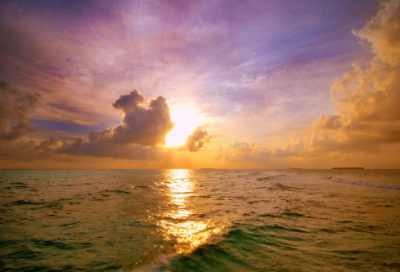 ​感恩节高级文案(感恩节经典短句)