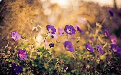 ​适合发早上好的句子94句