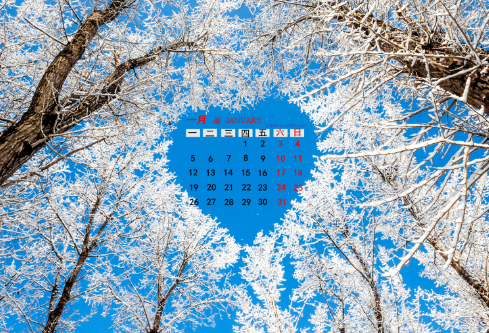 1683975189138187.png image.png